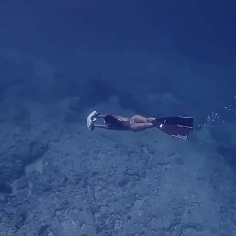 WildLifeのインスタグラム：「GIVEAWAY ‼️ @subluetech is giving away a FREE Underwater Scooter 😍 ======================== To Enter & Participate For Scooter Giveaway 👇🏽👇🏿 1. Like my video and Tag 3 of your IG friends on my post. 2. GO Follow: @Underwatergoods and all accounts they are following.  3. Comment “PICK ME” on @underwatergoods last post ======================== We are announcing the Winner of the Giveaway next week August 18th on @underwatergoods Instagram Post at 10pm Est Time (USA). We will be closely checking so be sure to follow all the rules. GOOD LUCK EVERYONE!」