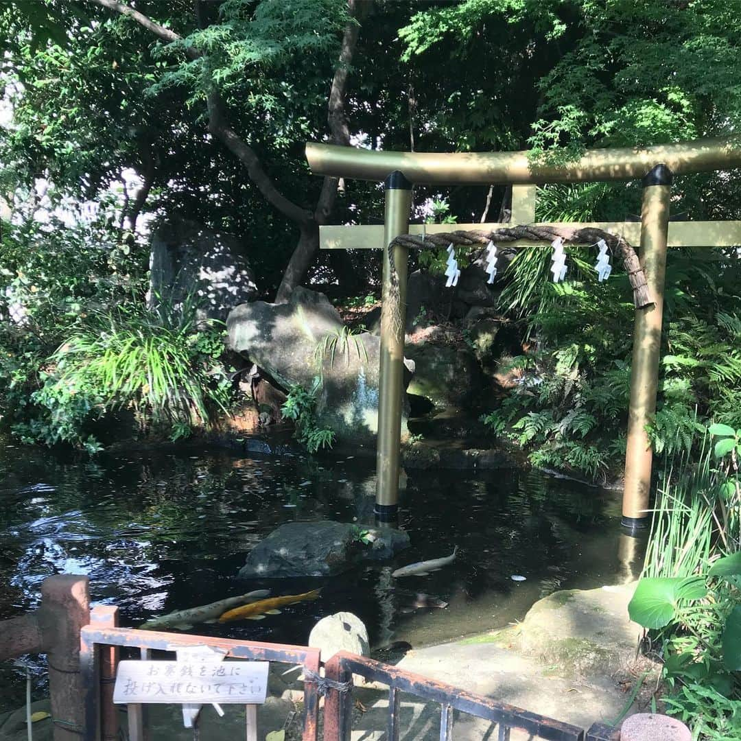 宮澤じゅりさんのインスタグラム写真 - (宮澤じゅりInstagram)「愛宕神社⛩  お盆休みでお姉ちゃんが遊びに来て行ってきました。 急な階段があると知らずにサンダルで行って、落ちたら死ぬ！と思いながら登ったけど神様が見守ってくれて無事に辿り着けました💓  思ってたより大きな神社ではなかったけど、綺麗だった✨ 行った時間帯も良かったのかな？ 影の入り方が良くて陽を遮って、池の水が良い感じに光ってました☀️ フレア好き♡  #東京 #tokyo #愛宕神社 #神谷町 #神社 #me」8月17日 2時12分 - juria_kubo