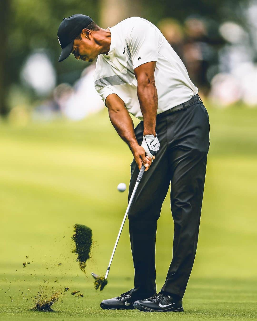 PGA TOURさんのインスタグラム写真 - (PGA TOURInstagram)「Tiger needs a projected 11th-place finish to advance to East Lake.」8月17日 2時19分 - pgatour