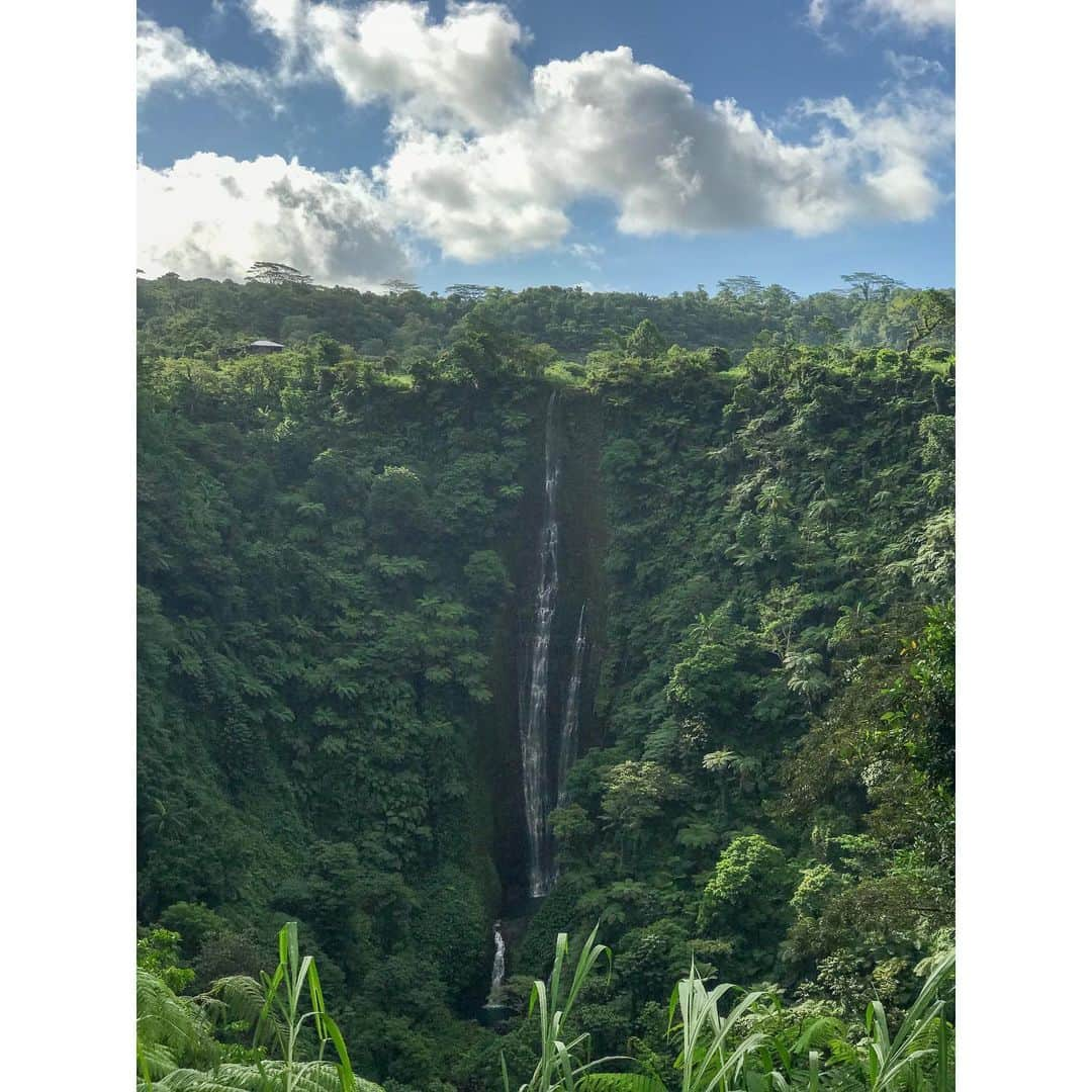 ラファエレ・ティモシーさんのインスタグラム写真 - (ラファエレ・ティモシーInstagram)「Always good to go back home and remind myself of why I’m doing what I’m doing. 🇼🇸✊🏾❤️ #aiga」8月16日 18時11分 - timlafaele