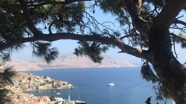 アレクシマビーユのインスタグラム：「Symi view stone pine @francoishalard @isabelledupuychavanat @josephinedupchav @alexismabille #symiview #symi #greece #bacony #roomwithaview #summer #port #village #bluesky #bluesea #blue #friends #dodekaneseislands」