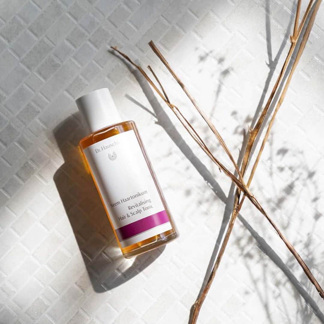 Dr. Hauschka Japan ドクターハウシュカのインスタグラム