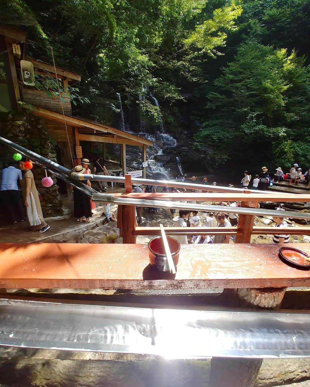 Miho Tanakaのグルメインスタ