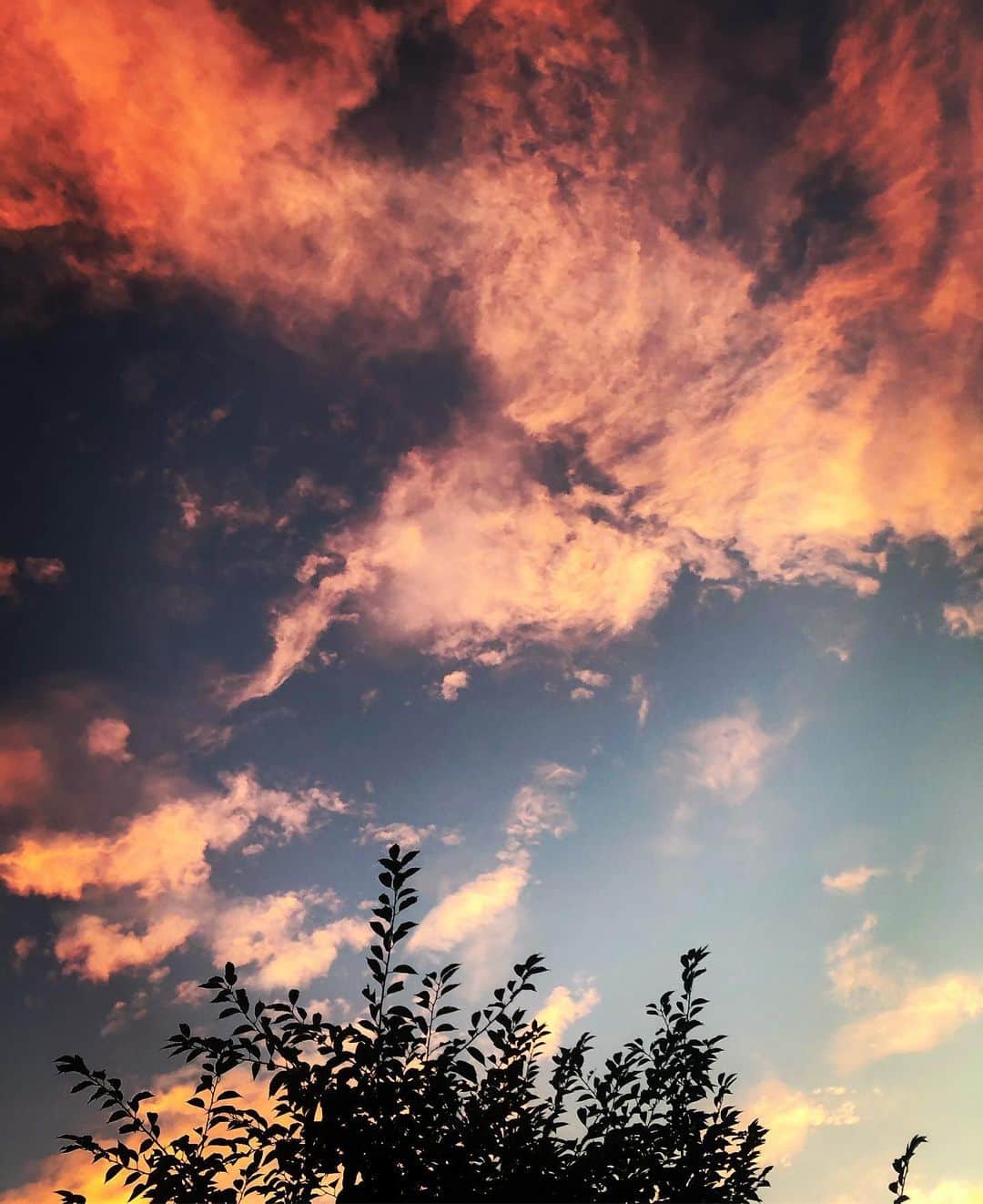 小林佳果さんのインスタグラム写真 - (小林佳果Instagram)「夏の夕暮れ #蝉の声 #台風一過 #風の中に少しだけ秋」8月16日 18時55分 - keika_kobayashi