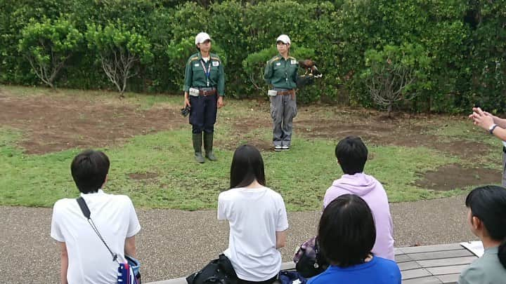 【公式】東京コミュニケーションアート専門学校ECOさんのインスタグラム写真 - (【公式】東京コミュニケーションアート専門学校ECOInstagram)「‪夏のゆめたび🚍2日目はよこはま動物園ズーラシアでの見学📸日差しもなく絶好の動物園日和☁️佐藤先生のガイド中に🐘が接近してくるとは‼️プロはオーラがありますね😁細かな気配りが感じられる素晴らしい園館でした✨‬ ‪#tcaeco #動物専門学校 #動物 #動物園 #飼育員  #ズーラシア #進路 #仕事 #夢 ‬」8月16日 19時16分 - tca_eco