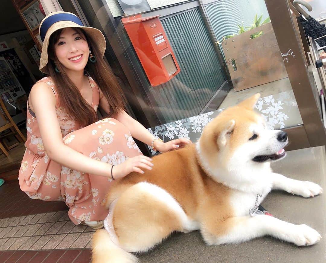 のインスタグラム：「本物の秋田犬にも会えたわん🐶💗 #秋田犬 #秋田 #大館 #マサル #ザギトワ選手  #わんこ #いぬすたぐらむ  #夏休み #秋田旅行 #旅行好き #タビジョ #旅行 #akita #akitainu  #trip✈️ #travelgram  #summer #summervacation  #japantravel  #trippy  #여행 #旅游 #dog #dogstagram」