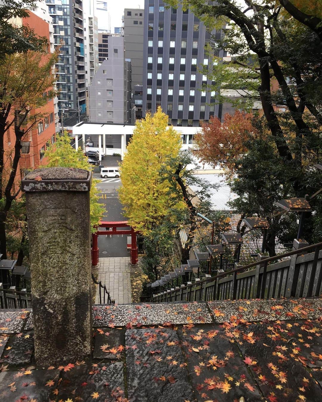 福山理子さんのインスタグラム写真 - (福山理子Instagram)「東京パワースポット #芝大神宮 #愛宕神社⛩」8月16日 19時30分 - rikofukuyama