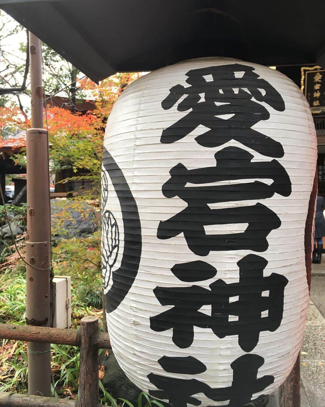 福山理子さんのインスタグラム写真 - (福山理子Instagram)「東京パワースポット #芝大神宮 #愛宕神社⛩」8月16日 19時30分 - rikofukuyama