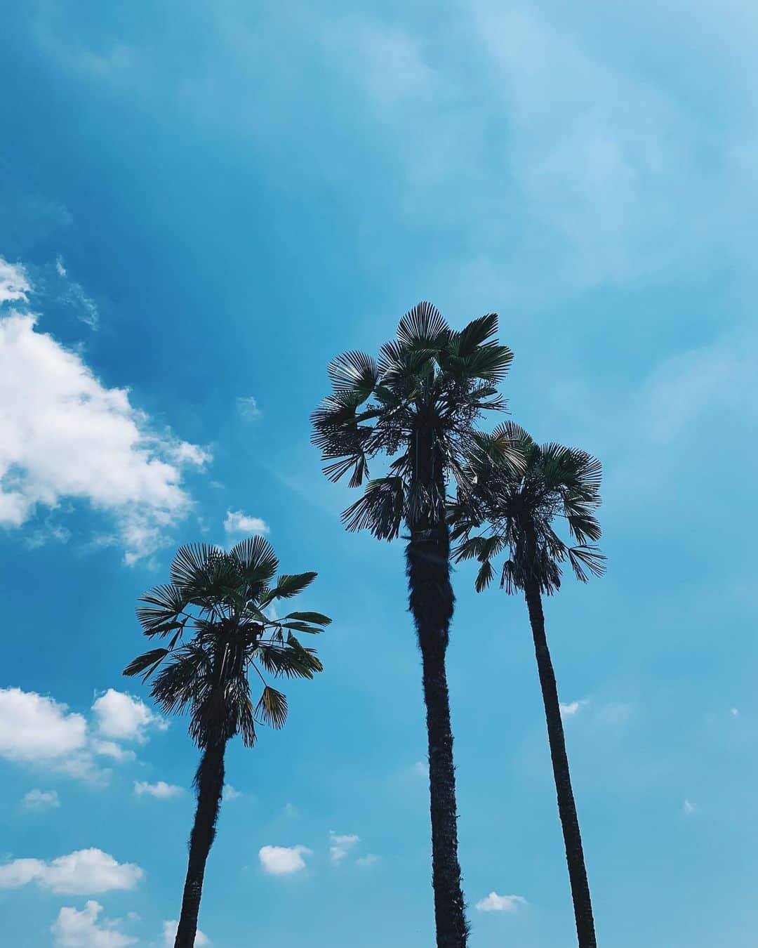 のインスタグラム：「* 帰省ってほどの距離でもないけど 実家っていいな。 お母さんと一緒にスーパー行って ご飯作って テレビ見ながら あーだのこーだの。 そして昨日は めちゃくちゃ楽しい夜だったし。 先輩たちに感謝だなぁ。 さらに地元が好きになった✨ でもお気に入りのパン屋さんは、 20日まで夏休み😭 楽しみにしてたのにー🥺」