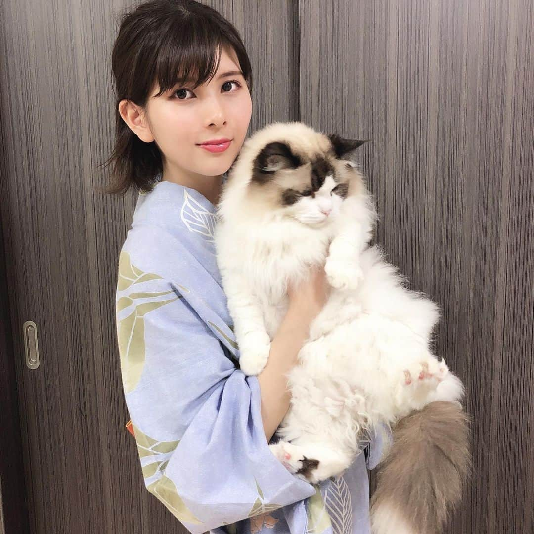 Sagiri Kitayamaさんのインスタグラム写真 - (Sagiri KitayamaInstagram)「3回連続で、猫様とすぎのお姉ちゃん😹(最近、猫様の写真が撮れなさ過ぎて、一瞬で撮れる抱っこ写真になりがちですみません🙇‍♀️) #にゃんぐるみ祭 #甘えん坊にゃんこ祭 #アルテイシア #ラグドール #ragdoll #ragdollcat #Norwegianforestcat #Norwegian #ノルウェージャンフォレストキャット #ノルウェージャン #neko #ねこ #ねこ部 #ネコ #猫 #cat #catstagram #catlover #catsofinstagram #instacat #kitty #ふわもこ部 #むにゃげーず #耳毛部」8月16日 20時48分 - rererurerurela