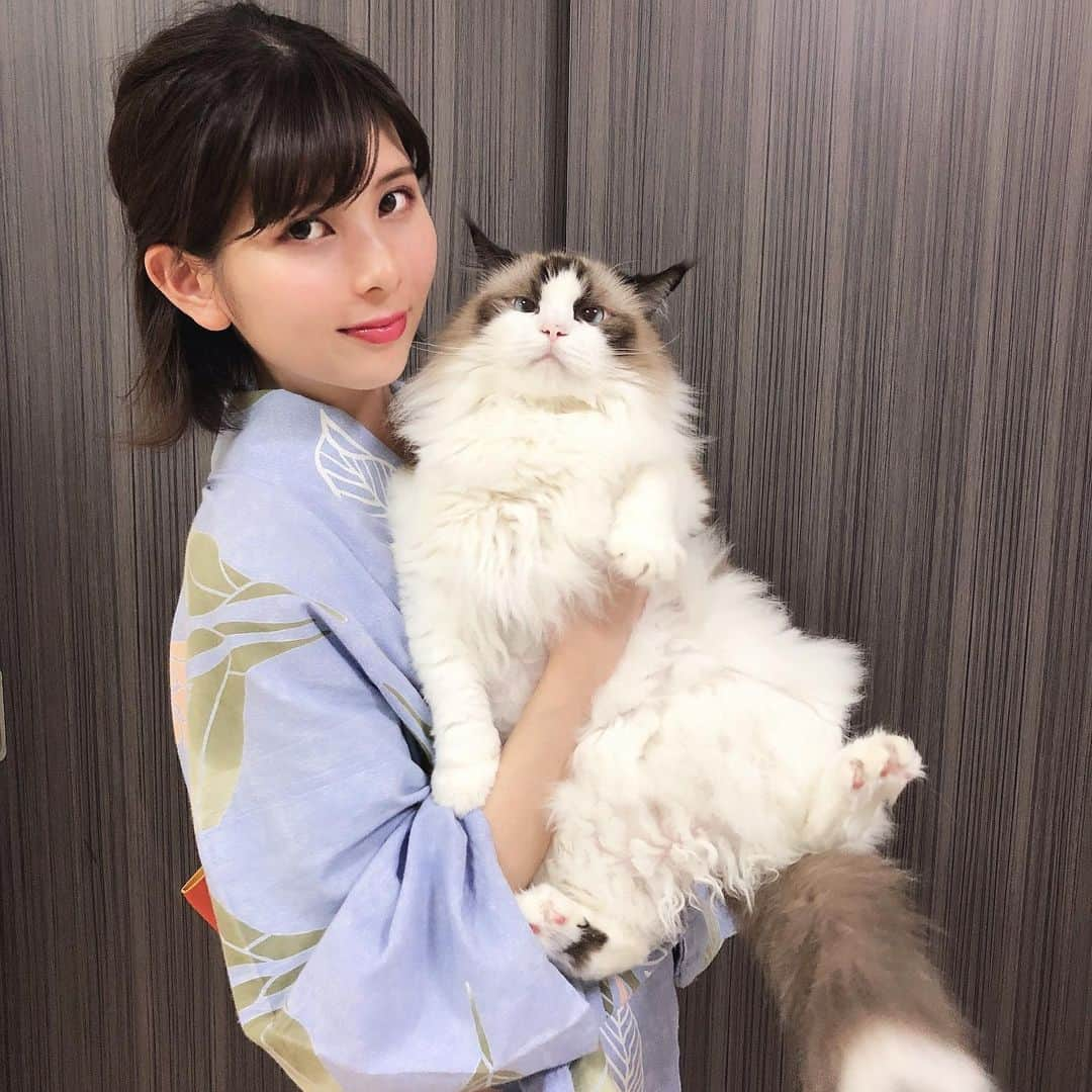 Sagiri Kitayamaさんのインスタグラム写真 - (Sagiri KitayamaInstagram)「3回連続で、猫様とすぎのお姉ちゃん😹(最近、猫様の写真が撮れなさ過ぎて、一瞬で撮れる抱っこ写真になりがちですみません🙇‍♀️) #にゃんぐるみ祭 #甘えん坊にゃんこ祭 #アルテイシア #ラグドール #ragdoll #ragdollcat #Norwegianforestcat #Norwegian #ノルウェージャンフォレストキャット #ノルウェージャン #neko #ねこ #ねこ部 #ネコ #猫 #cat #catstagram #catlover #catsofinstagram #instacat #kitty #ふわもこ部 #むにゃげーず #耳毛部」8月16日 20時48分 - rererurerurela