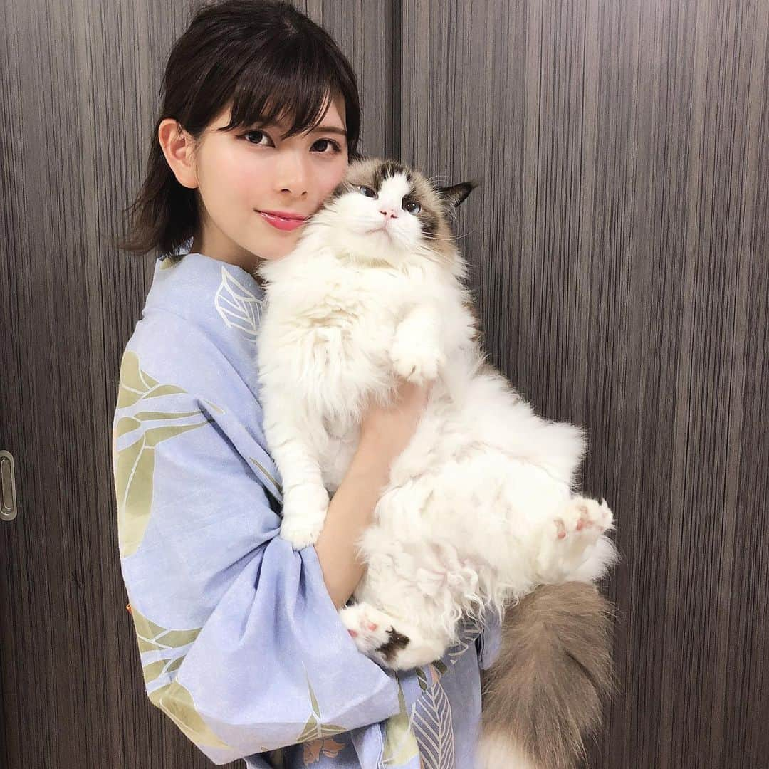 Sagiri Kitayamaさんのインスタグラム写真 - (Sagiri KitayamaInstagram)「3回連続で、猫様とすぎのお姉ちゃん😹(最近、猫様の写真が撮れなさ過ぎて、一瞬で撮れる抱っこ写真になりがちですみません🙇‍♀️) #にゃんぐるみ祭 #甘えん坊にゃんこ祭 #アルテイシア #ラグドール #ragdoll #ragdollcat #Norwegianforestcat #Norwegian #ノルウェージャンフォレストキャット #ノルウェージャン #neko #ねこ #ねこ部 #ネコ #猫 #cat #catstagram #catlover #catsofinstagram #instacat #kitty #ふわもこ部 #むにゃげーず #耳毛部」8月16日 20時48分 - rererurerurela