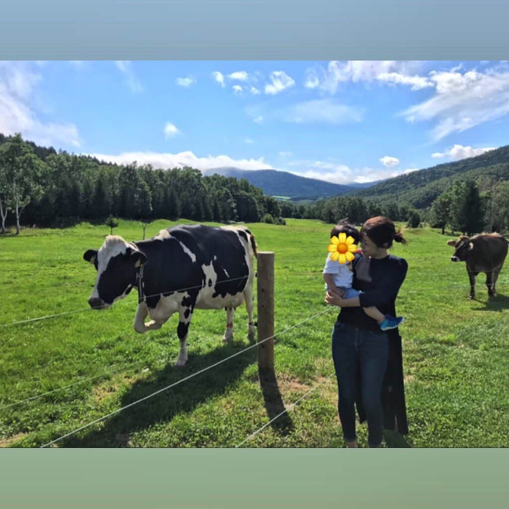 室谷香菜子さんのインスタグラム写真 - (室谷香菜子Instagram)「化粧もせず朝一で外に出ると… 牛がお散歩〜！！！ 北海道の大好きな景色。 たくさん深呼吸。 眼に映る緑と青が心を柔らかくしてくれます。  #HBC #北海道放送 #アナウンサー #夏旅 #北海道の景色 #北の大地 #青い空 #2019夏 #牛 #初対面 #台風10号 #要警戒です」8月16日 20時54分 - hbc_muroyakanako