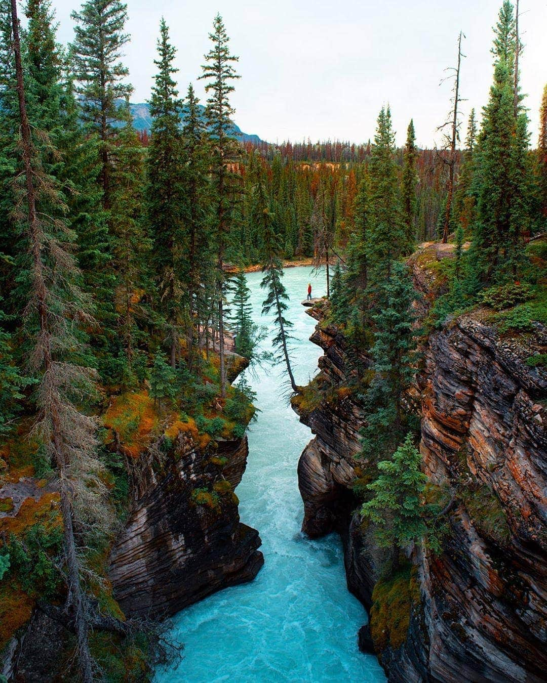 BEAUTIFUL DESTINATIONSさんのインスタグラム写真 - (BEAUTIFUL DESTINATIONSInstagram)「The largest National Park in the Canadian Rockies, and one that always blesses us with the most amazing blue water 💦😍Have you traveled to this National Park? (📷: @mblockk 📍: Jasper National Park)」8月16日 21時09分 - beautifuldestinations