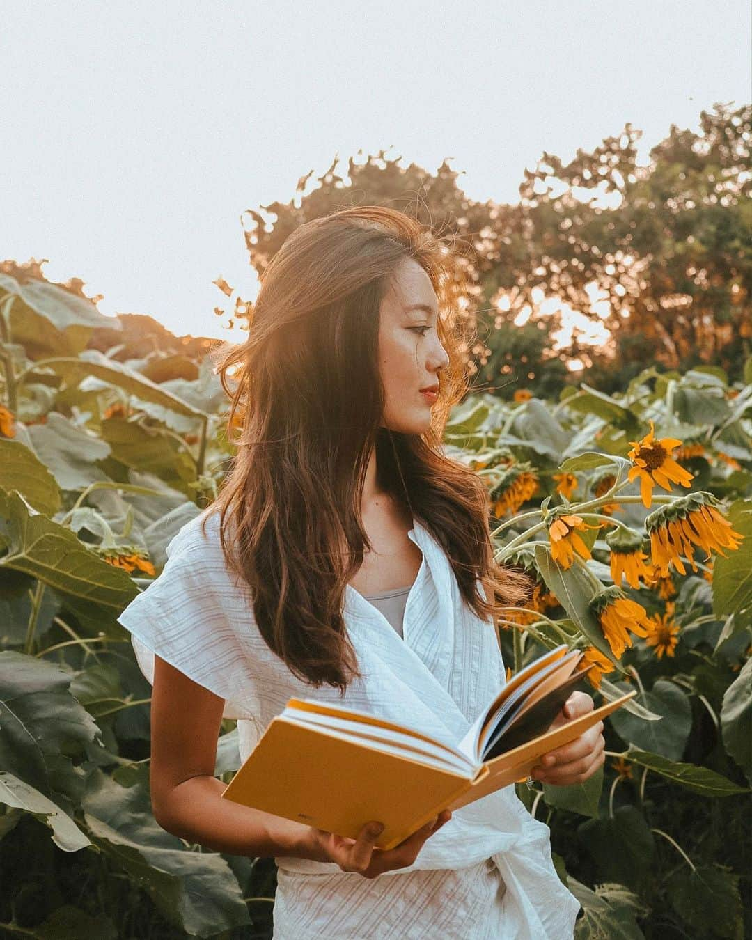 佐藤マクニッシュ怜子さんのインスタグラム写真 - (佐藤マクニッシュ怜子Instagram)「when the lighting is just perfect 🌻 ‘ 8月生まれっていうのもあってひまわりが世界で一番好きなの だからお誕生日のブーケはいつもひまわり😌 もう枯れ始めちゃってたけど向日葵畑にいってきたよ、 @nataentokio にもらったhappy bookと一緒にサンセットで📸」8月16日 21時10分 - reikoofficial