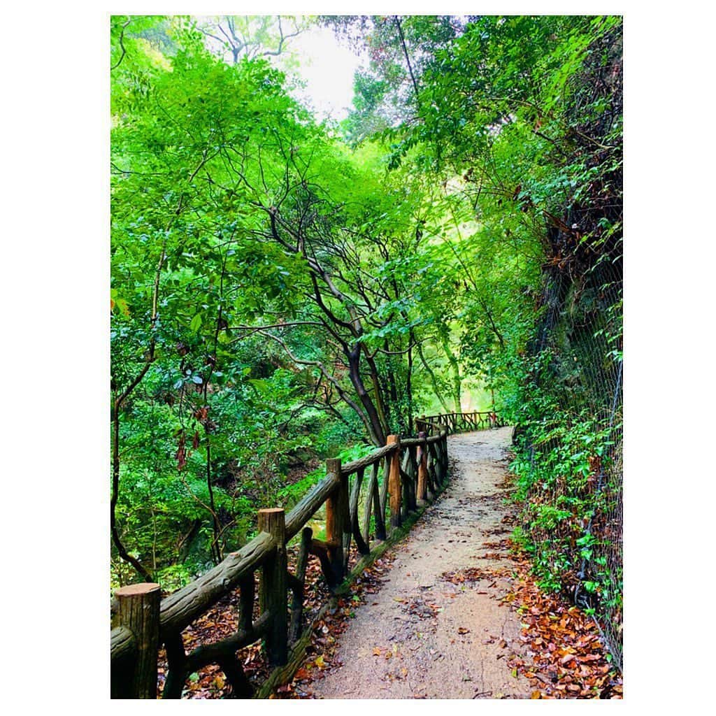 七瀬遥さんのインスタグラム写真 - (七瀬遥Instagram)「ハイキングコース🚶‍♀️🍃 今日は激しい滝だった😂  #布引の滝#山#緑#マイナスイオン#ハイキング#good#happy#love#fun#kobe#japan」8月16日 21時35分 - haruka_mh