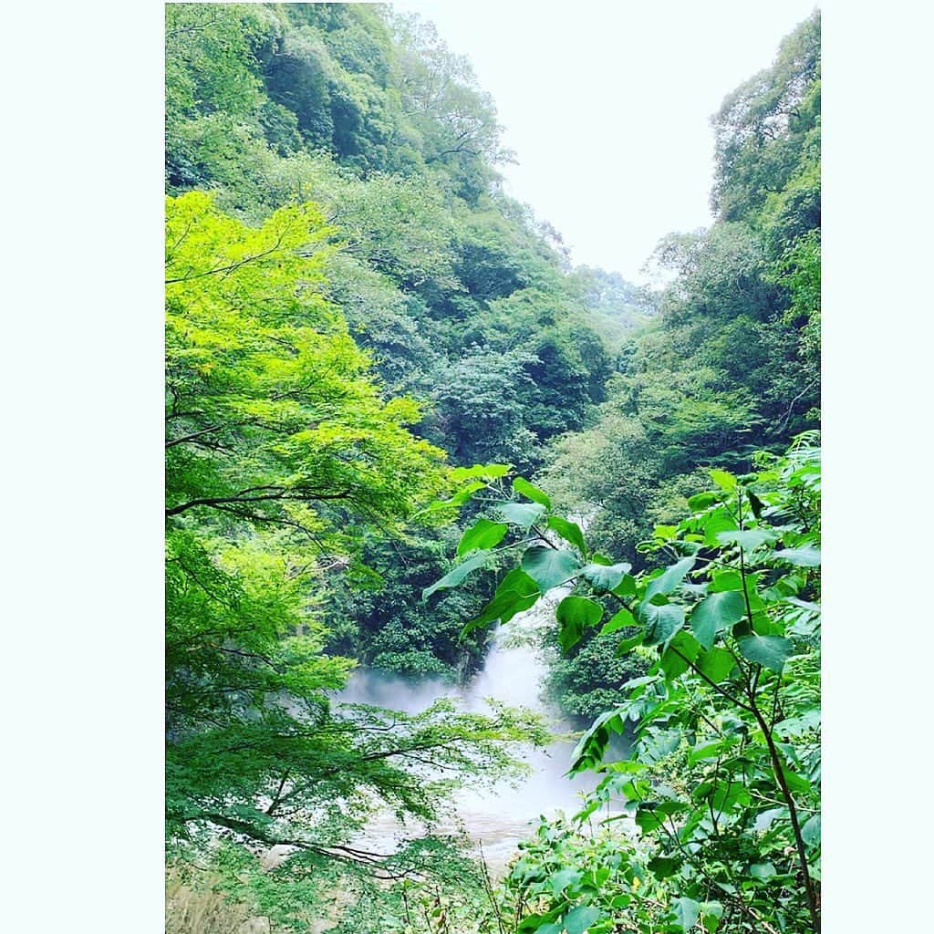 七瀬遥さんのインスタグラム写真 - (七瀬遥Instagram)「ハイキングコース🚶‍♀️🍃 今日は激しい滝だった😂  #布引の滝#山#緑#マイナスイオン#ハイキング#good#happy#love#fun#kobe#japan」8月16日 21時35分 - haruka_mh