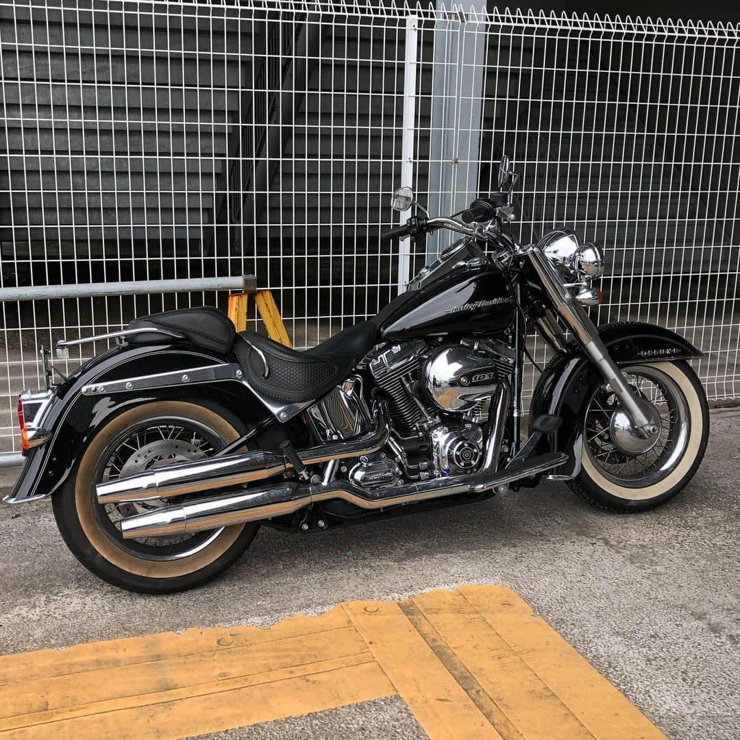 亘健太郎さんのインスタグラム写真 - (亘健太郎Instagram)「久しぶりに乗ったぜ‼︎やっぱりバイクはいいねぇ〜‼︎最高だよ、最高‼︎﻿ ﻿ #アメカジボーイズ ﻿ #amecajiboys ﻿ #アメカジ ﻿ #アメカジ散策 ﻿ #俺だってハーレー乗り ﻿ #harleydavidson ﻿ #flstn ﻿ #ソフテイルデラックス」8月16日 21時38分 - watarikentaro