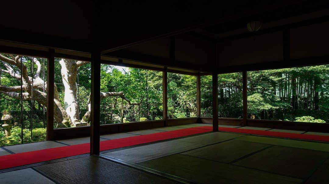 塩浦慎理のグルメインスタ