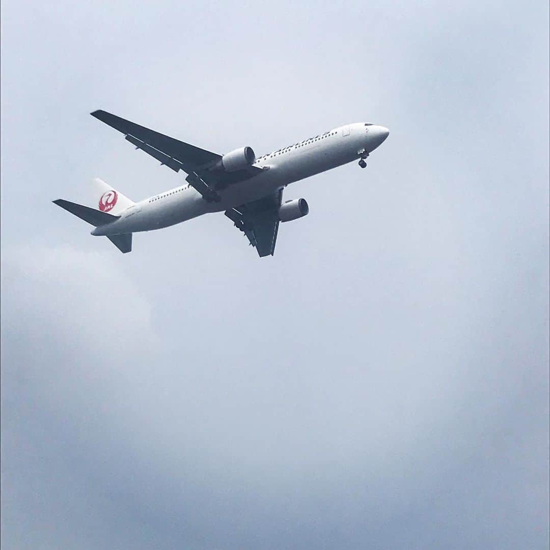 のインスタグラム：「#城南島海浜公園 にて、飛行機を眺めるお休みの日。」