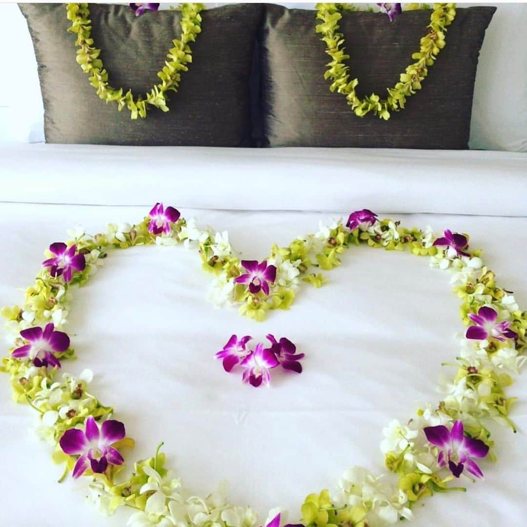 Trump Waikikiさんのインスタグラム写真 - (Trump WaikikiInstagram)「The iconic heart shape is the symbol of love, expressed here to capture your senses and aloha. #tropicalturndownamenity #trumpwaikiki #NeverSettle #trumpattache #fivestarhotelhonolulu  #romancetravel  #honeymoon #wedding #romance #heart  ハネムーンカップルに人気のトロピカル・ターンダウン。 #トランプワイキキ #5つ星ホテル  #ハネムーン #トロピカルフラワー #ロマンス #ハワイでウェディング」8月16日 23時57分 - trumpwaikiki