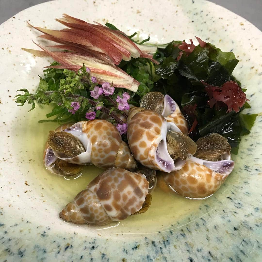 鶏魚 谷町のインスタグラム：「鶏魚です！しーちゃんです🎶 観光客の方々には大人気の魚貝メニュー*\(^o^)/* メニュー豊富なので、是非どうぞ♡ #ばい貝の酒蒸し #魚貝メニュー豊富 #鶏魚 #大阪 #谷町四丁目 #駅近 #セルフ飲み放題 #地域最安値 #コース #座敷 #個室 #貝盛り放題 #ガンガン焼き #あさり #はまぐり #ホンビノス貝 #牡蠣 #さざえ #飲み会 #女将」