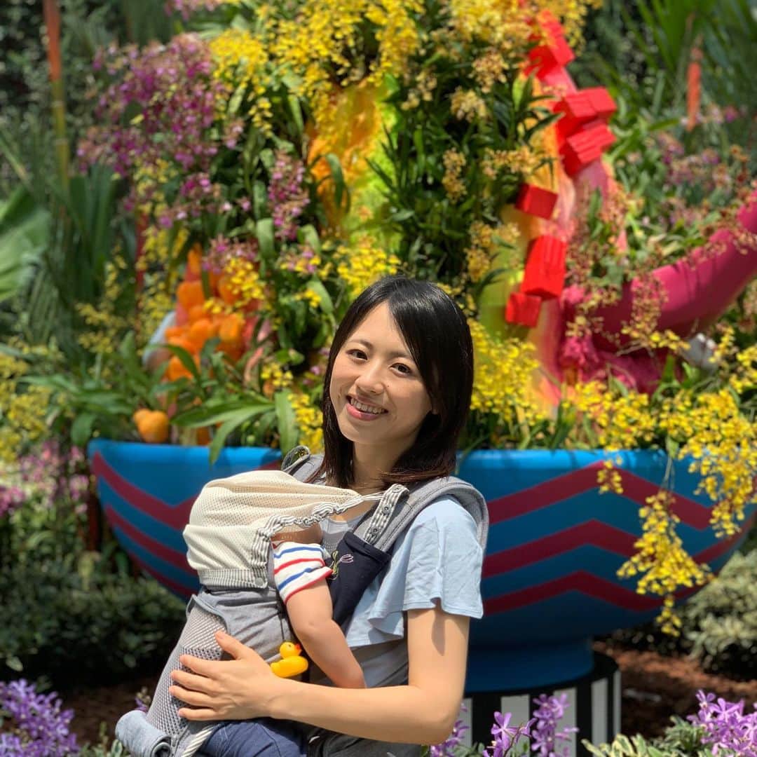 大西蘭さんのインスタグラム写真 - (大西蘭Instagram)「・ Gardens by the Bay のフラワードーム🌸🌺🌼 ・ National dayに合わせた展示でシンガポールにちなんだものが蘭の花で表現されていました✨ ・ １枚目の写真の後ろはシンガポールで定番のかき氷 アイスカチャン🍧 ・ ・ #gardensbythebay #singaporelife #icekacang #mamagirl #mamalife #mamalifestyle #icekachang🍧 #シンガポール暮らし #シンガポール生活 #ガーデンズバイザベイ #シンガポール子育て #ヒップシートキャリア #ポグネー #ポグネーno5  @pognae_jp」8月17日 0時54分 - onishiran