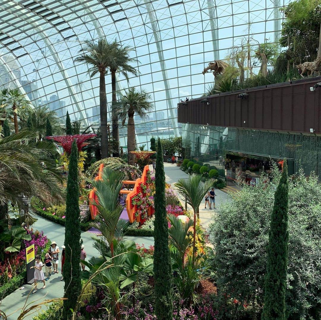 大西蘭さんのインスタグラム写真 - (大西蘭Instagram)「・ Gardens by the Bay のフラワードーム🌸🌺🌼 ・ National dayに合わせた展示でシンガポールにちなんだものが蘭の花で表現されていました✨ ・ １枚目の写真の後ろはシンガポールで定番のかき氷 アイスカチャン🍧 ・ ・ #gardensbythebay #singaporelife #icekacang #mamagirl #mamalife #mamalifestyle #icekachang🍧 #シンガポール暮らし #シンガポール生活 #ガーデンズバイザベイ #シンガポール子育て #ヒップシートキャリア #ポグネー #ポグネーno5  @pognae_jp」8月17日 0時54分 - onishiran