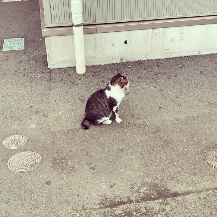 小川貴之のインスタグラム