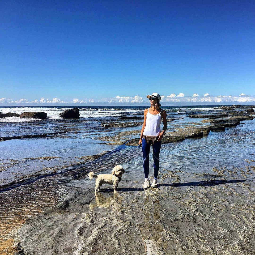 シャーニ・ヴィンソンさんのインスタグラム写真 - (シャーニ・ヴィンソンInstagram)「Winter days don’t get much better than this.. #beachwalks with my boy @jaggerpoo #sunshinecoast #australia #QLD #winter #beach #rockpools #meandmydog #oceanlife #love #nature #sea #salt #sand #surf #sun 🌊 🐕 🐾」8月17日 12時15分 - sharnivinson
