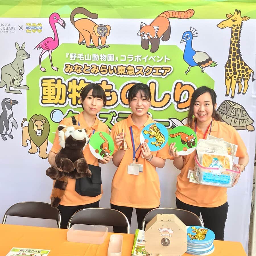 みなとみらい東急スクエアのグルメインスタ