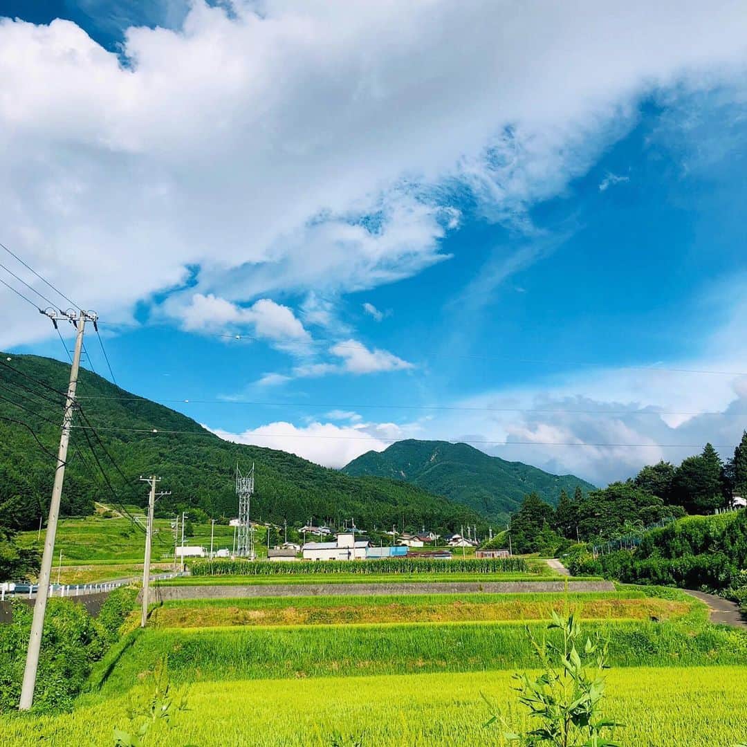 ayumiさんのインスタグラム写真 - (ayumiInstagram)「🌳🌳 青い空、白い雲、緑な山大好き😍 お盆はちょこっと長野で癒されました～ 🌞🌞🌞 ささ今日からまた頑張ります～‪🥰🍽 #長野#地元」8月17日 11時37分 - ayupichikitchen