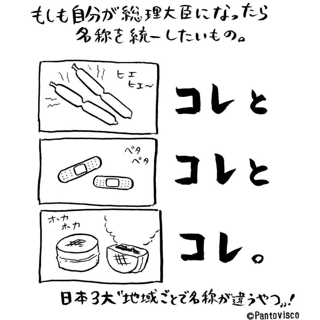 pantoviscoさんのインスタグラム写真 - (pantoviscoInstagram)「「総理大臣になったらやりたいこと」(嘘です) 昨日一瞬だけストーリーにUPしたところ反響が物凄かったので改めてこちらにUPします。あなたのこの３つの呼び名は何ですか？  #コメント欄で3つの組み合わせが全部被る人なかなかいない説 #なんて答えるかで地域がバレる #本当は地域地域で名称があることって素敵で面白いことだと思ってます」8月17日 11時37分 - pantovisco