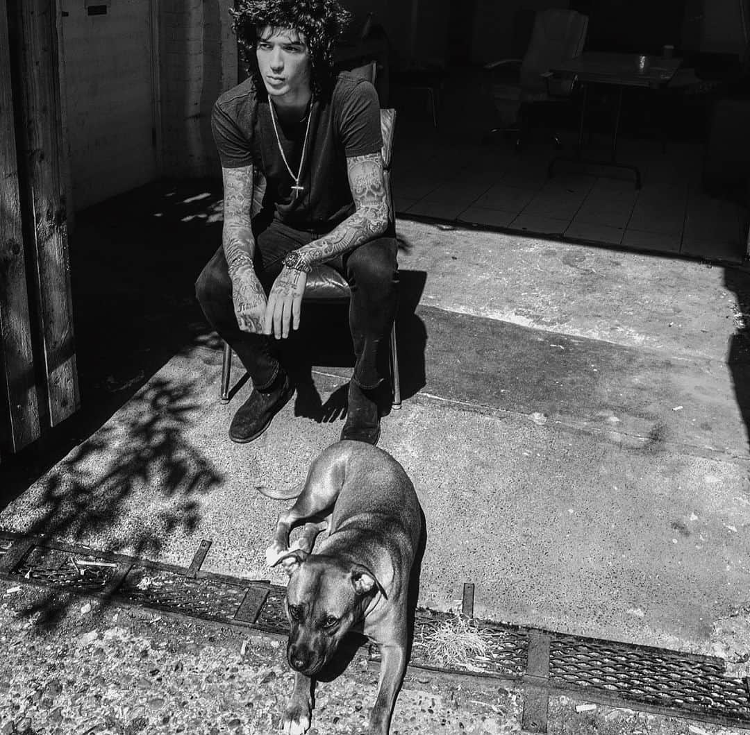 ジュリアン・ペレッタのインスタグラム：「recording this album i realised how much better life would be if there were more dogs and less humans」