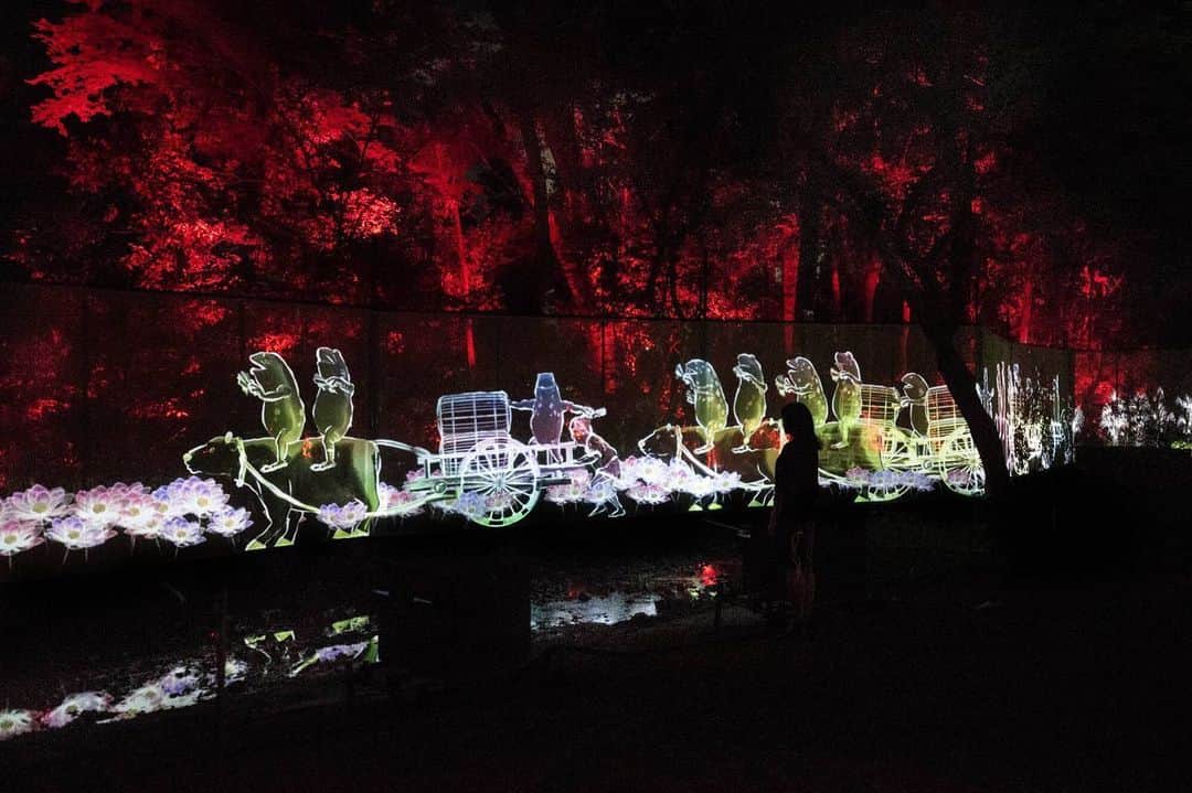 猪子寿之さんのインスタグラム写真 - (猪子寿之Instagram)「#teamlab #worldheritage #shimogamo #forest #Kyoto  #世界遺産 #下鴨神社 の糺の森の川沿いを200m以上！延々と歩き続ける、森の中の絵巻 #チームラボ  8/17 - 9/2 night  https://www.teamlab.art/jp/e/shimogamo/」8月17日 5時29分 - inoko.teamlab