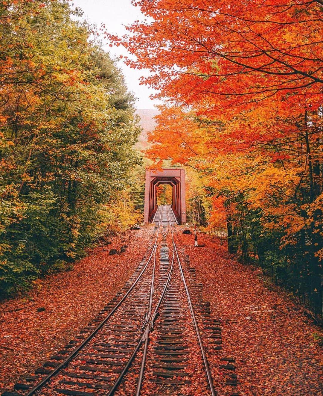 Wonderful Placesさんのインスタグラム写真 - (Wonderful PlacesInstagram)「Fall in New Hampshire ✨😍❤️❤️😍✨ . Picture by ✨✨@neohumanity✨✨ #wonderful_places for a feature ❤️」8月17日 6時18分 - wonderful_places