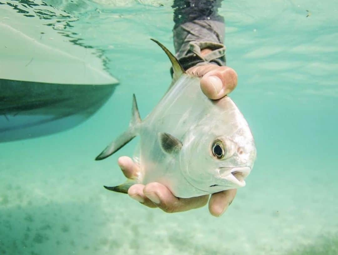 Costa Sunglassesのインスタグラム：「Learner's permit. 📷: @outgoing_angling #SeeWhatsOutThere」