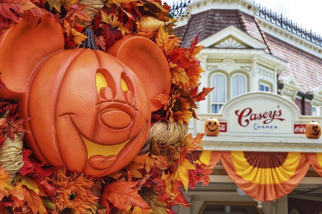 Walt Disney Worldのインスタグラム：「Happy first day of Mickey’s Not So Scary Halloween Party! Are you excited for fall at #WaltDisneyWorld?🎃🍂 #MickeysNotSoScaryHalloweenParty (📷: @mainstreetmae)」