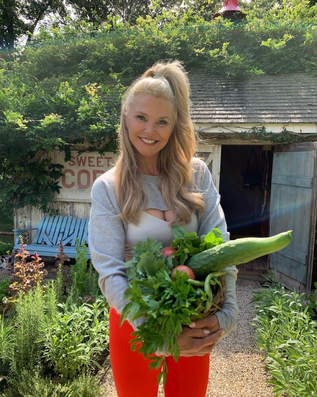 クリスティ・ブリンクリーさんのインスタグラム写真 - (クリスティ・ブリンクリーInstagram)「These photos remind me of that old expression...”is that a cucumber in your basket or are you just glad to see me?” 🥒#organic #garden #organicgardener 🌽」8月17日 7時27分 - christiebrinkley