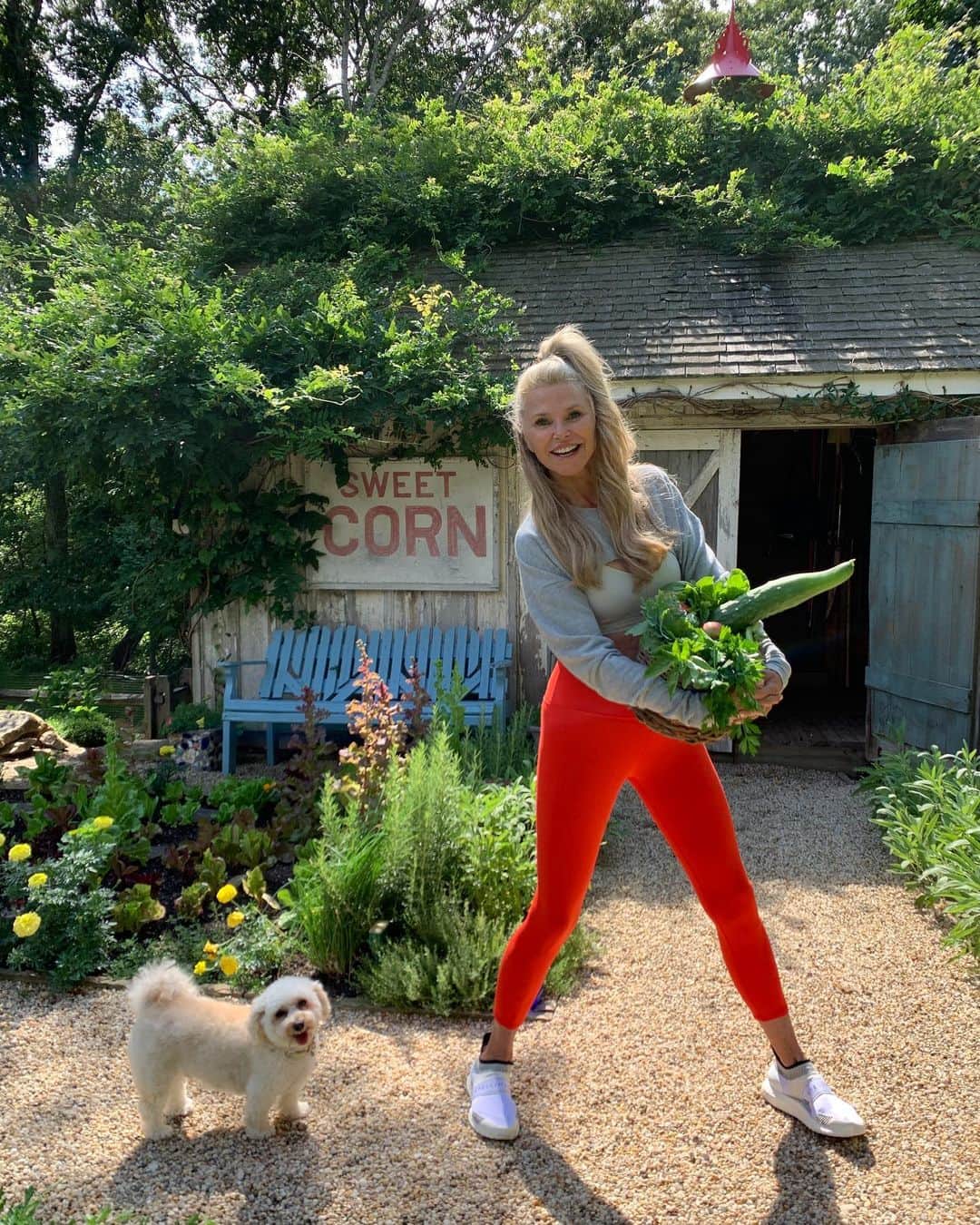 クリスティ・ブリンクリーさんのインスタグラム写真 - (クリスティ・ブリンクリーInstagram)「These photos remind me of that old expression...”is that a cucumber in your basket or are you just glad to see me?” 🥒#organic #garden #organicgardener 🌽」8月17日 7時27分 - christiebrinkley