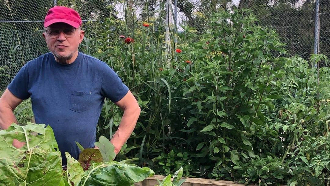 ザックポーゼンさんのインスタグラム写真 - (ザックポーゼンInstagram)「Real pleasures in #veggie garden with my dad @stephenposen ! 🥕🌽🍆🥬🥒🍅🍓🥦🌿Oh how I missed you!🥰 #homegrownfood」8月17日 7時29分 - zacposen