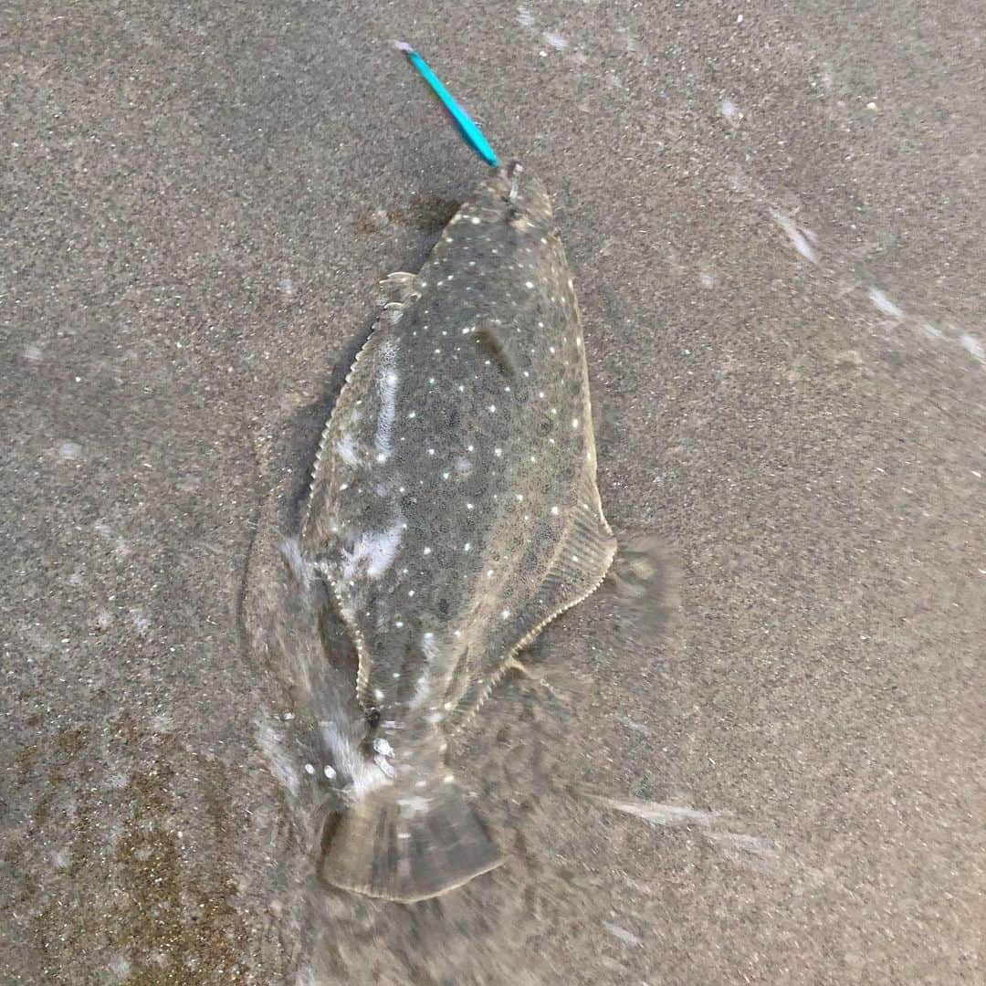 Isseki Nagaeさんのインスタグラム写真 - (Isseki NagaeInstagram)「Surfing and Fishing  Training camp in preparation for a trip to Tanegashima two weeks later!  2 rounds of surfing, 3 rounds of fishing.  I fished flounder and White Croaker, but since flounder is a child, it is released #surfing #fishing #fishinglife #flounder #croaker #surfinglife  二週間後の種子島に備えて強化合宿！サーフィン2ラウンド、釣り3ラウンド。ヒラメとイシモチ釣りましたがヒラメは子供なのでリリース」8月17日 7時34分 - isseki_nagae
