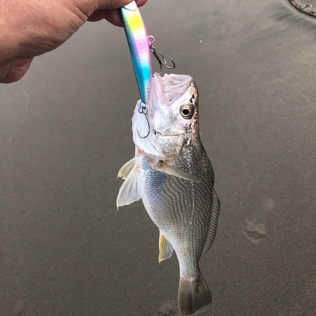 Isseki Nagaeのグルメインスタ