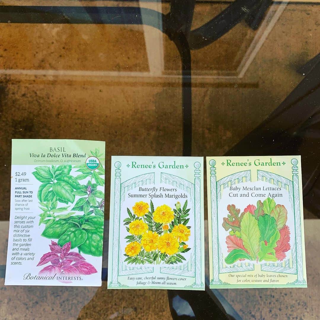 齊藤美絵さんのインスタグラム写真 - (齊藤美絵Instagram)「先週、コンパニオンプランツの種を買いに行きました🍀  コンパニオンプランツとは、 一緒に植えることで、 お互いに良い影響を与え合う植物のこと。  虫が近寄らないようにするとか 病氣を防ぐ、成長の促進になるなど。  結果、農薬や防虫剤に頼らなくて良いということも。  マリーゴールドは、大抵のお野菜との相性が良い、コンパニオンプランツ界のクイーン的存在！  バジルはトマトとの相性が良く。 畑の段階でイタリアン🇮🇹 レタスとキャベツも良いとのこと。  畑もカラフルで楽しくなりそう🌈試してみます☆  #maui #マウイ #liveontheearth #地球に寄り添った暮らし方 #farming #kula #liveontheearthfarm #コンパニオンプランツ #conpanionplants  #organicfarm #childcare #育児  #3yearsold #mauinokaoi  #Hawaii #aloha #livewelllovemuchlaughoften #howtobeawesometoday  #フードマエストロ #foodmaestro  #ナチュラルビューティスタイリスト #ツタエルヒト。」8月17日 7時39分 - saitomie