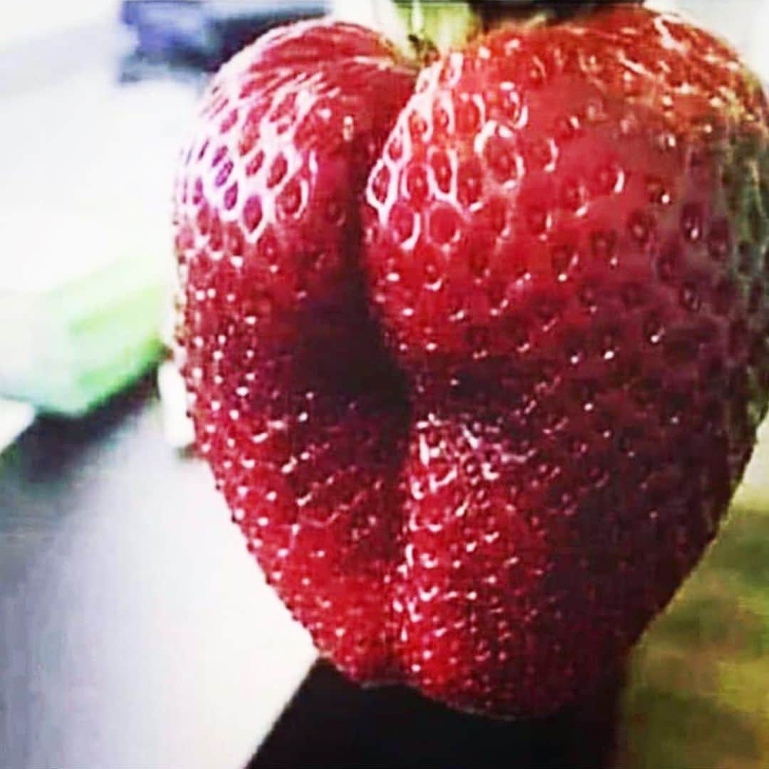 50セントさんのインスタグラム写真 - (50セントInstagram)「She ask me do If like strawberrys, 👀I looked at her, then she said you nasty I know you like strawberry’s. LOL 😆TYCOON shit we lit🔥💪POWER #lecheminduroi #TheKing🍾#bransoncognac」8月17日 7時40分 - 50cent