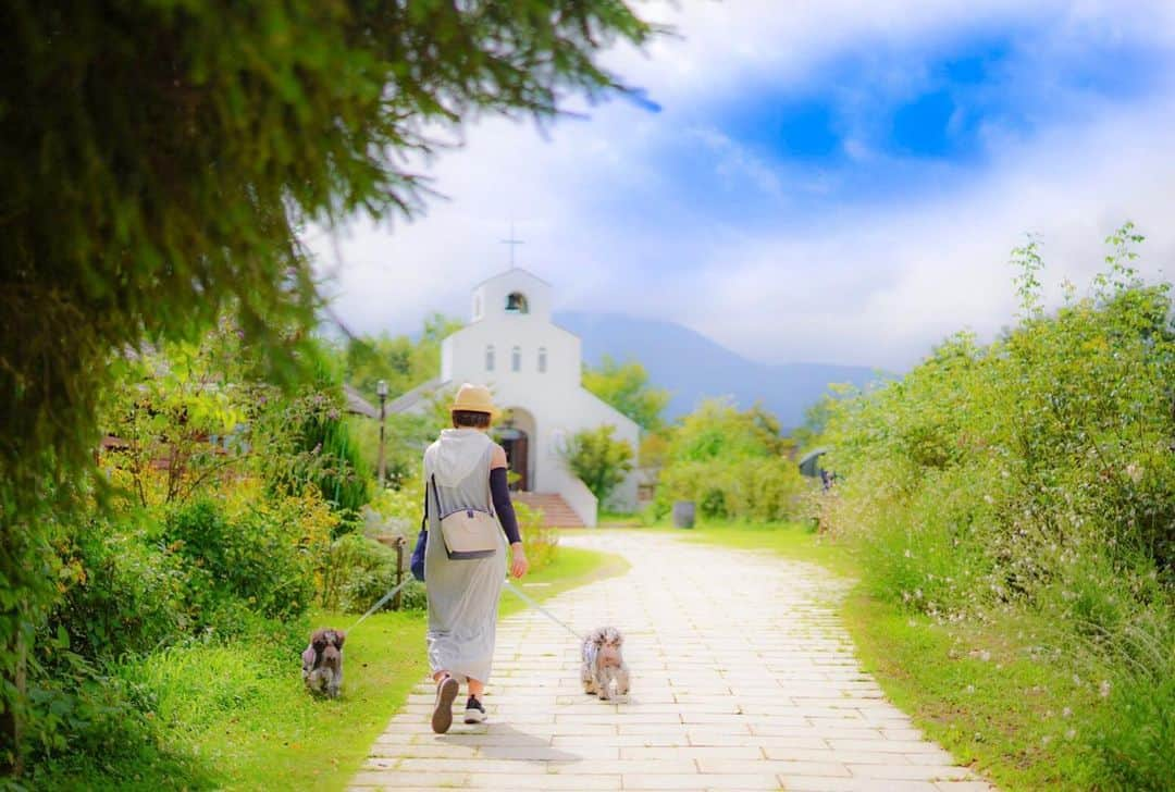 中野区在住のミニシュナのInstagramさんのインスタグラム写真 - (中野区在住のミニシュナのInstagramInstagram)「⑅︎◡̈︎* ・ 残暑お見舞い申し上げます*ˊᵕˋ)੭ 長野満喫中のマーブルとイヴです٩(ˊᗜˋ*)و ・ 台風一過で、暑いけどいいお天気☀️ ・ 昨日は、長野のお気に入りワイナリーに行って来ました♪ ロケーションもご飯も🍷も最高(✿︎´ ꒳ ` )♡︎ ・ #サンクゼール  #サンクゼールの丘  #飯綱町  #ワイナリー  #長野旅行  #しゅなら部 #ミニチュアシュナウザー #ミニシュナ #シュナウザー #miniatureschnauzer #schnauzer #schnauzerofinstagram #schnauzer_lovers  #schnauzer_of_instagram  #inulog #east_dog_japan #all_dog_japan  #todayswanko  #inutokyo  #dogsta #pecoいぬ部 #qpetいぬ部 #ペトこと犬部 #イヌトミィ #insta_dog #SonyAlphaAnimalPortrait #Japan_ILC #A7M3 #嫁グラフィー」8月17日 8時26分 - marble_eve