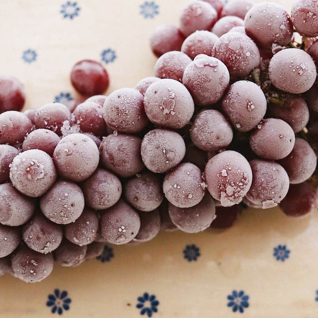 樋口正樹さんのインスタグラム写真 - (樋口正樹Instagram)「Frozen grape 🍇 . ひと晩凍らせた デラウェアです。 溶け始めが美味。 今日も猛暑です、 ご注意ください。 . . #冷凍ぶどう #デラウェア #ぶどう #葡萄 #朝フルーツ #frozengrape #🍇」8月17日 8時42分 - higuccini