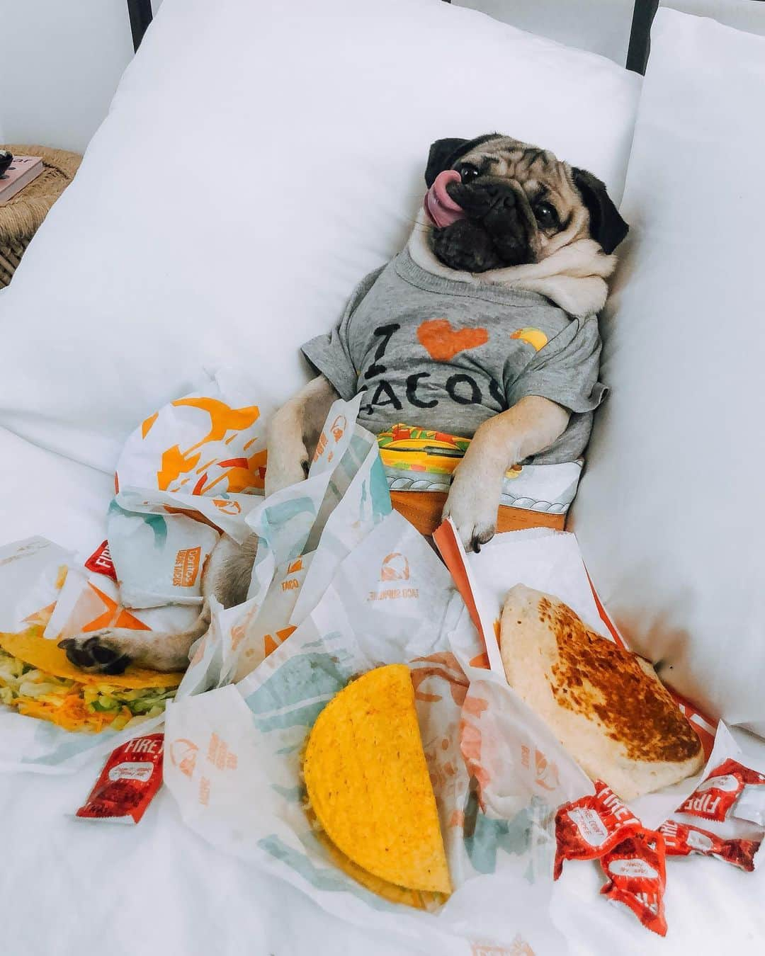 itsdougthepugさんのインスタグラム写真 - (itsdougthepugInstagram)「“‪I have some very important plans tonight” -Doug」8月17日 8時45分 - itsdougthepug