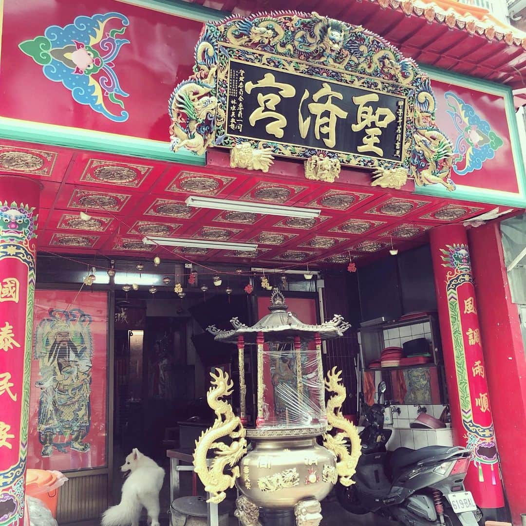 千秋さんのインスタグラム写真 - (千秋Instagram)「台湾とか香港とかに沢山ある赤い神様（と呼んでいる）の装飾が好きです。とにかく真っ赤で派手なんです。何という宗教なのか、実は国により違うのか、同じなのか、などはわからないけど。商店にはだいたい小さな赤い神様が飾ってあります。 この建物も道の途中に急に現れました。この真ん中の龍のところになぜかラップが巻いてあります。神主さん？（と呼ぶのかなあ）はTシャツに短パンの若者で、上の部屋にいたけど、今呼ばれたから来た、と言っていて、特に袴などの衣装はなく、普段からこの格好だと言ってました。 異国には異国の文化があり、それを知ることが人生の楽しみでもあります。だから海外旅行がやめられません。  犬がいるよ🐕  #千秋旅日記 #台湾 #台湾旅 #台湾旅行 #Taiwan #台北」8月17日 10時11分 - chiaki77777