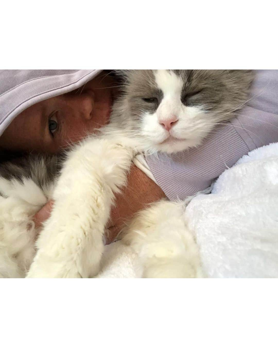 ホリー・ホルムさんのインスタグラム写真 - (ホリー・ホルムInstagram)「8-14-2019.  There’s never enough words for the unconditional love of an animal. Full trust and only knows how to love. I had to say goodbye to this big guy and it breaks my heart. I am blessed to have had 13 years with him. Thank you for the love, Buster. And thank you for letting me pester you all these years 🤗You were truly special.❤️」8月17日 10時37分 - hollyholm